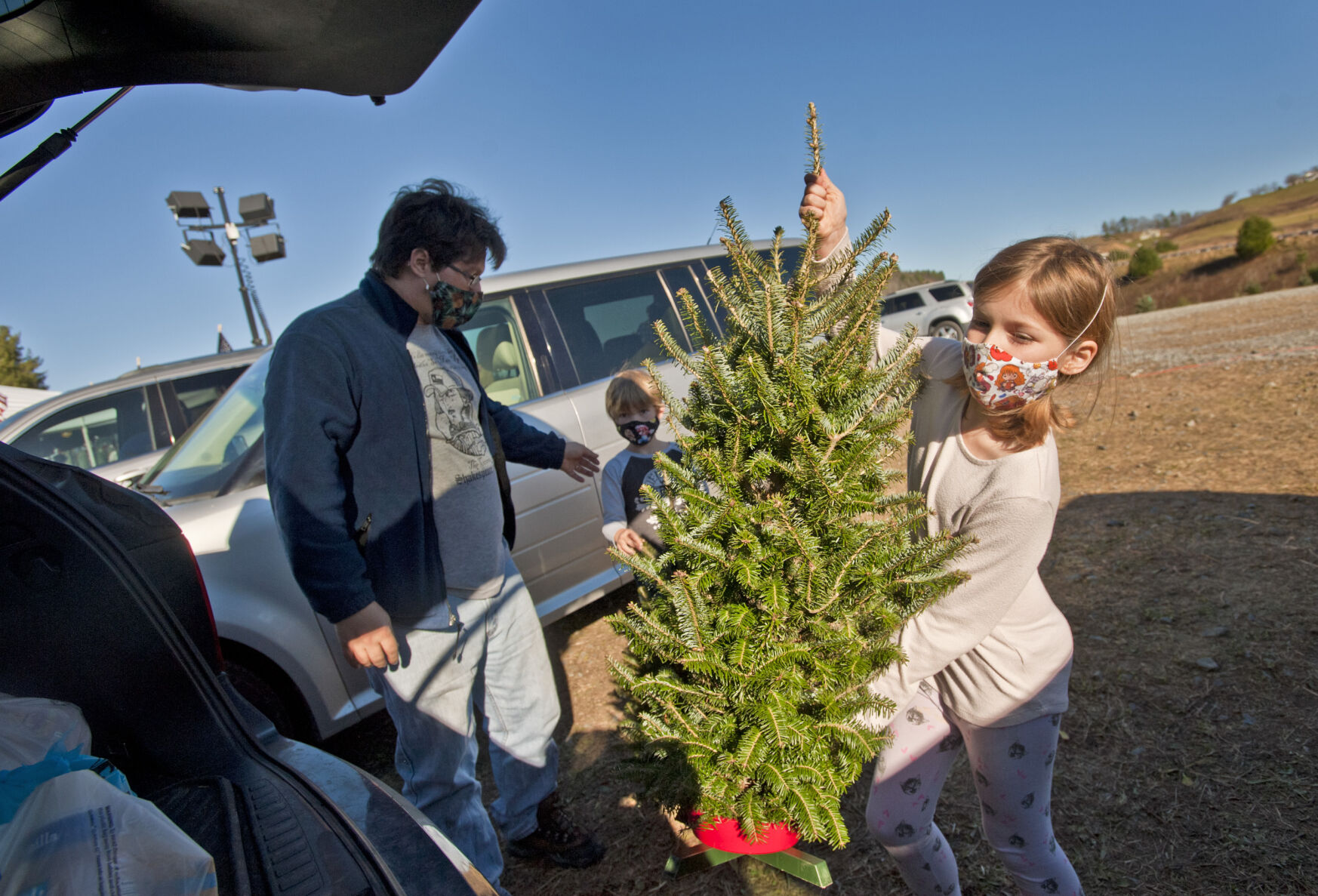 Choose and cut Christmas trees